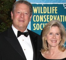Al Gore’s Daughter Has Marriage Troubles Of Her Own