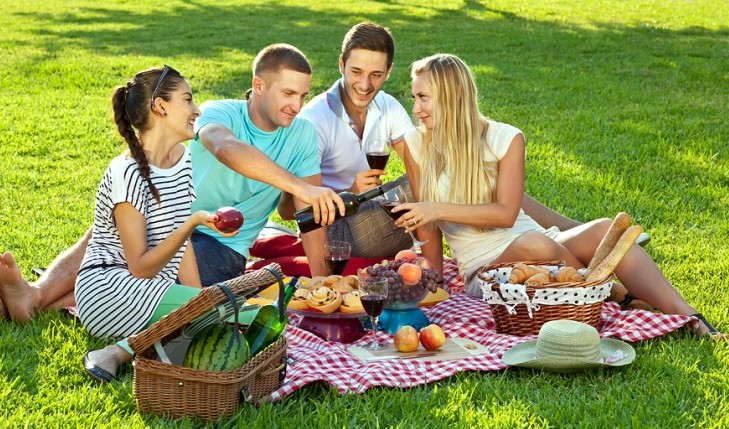 Cupid's Pulse Article: Date Idea: Picnic with Pals