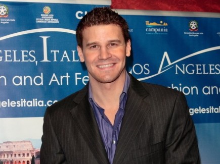 Cupid's Pulse Article: David Boreanaz Says His 2010 Affair Strengthened His Marriage