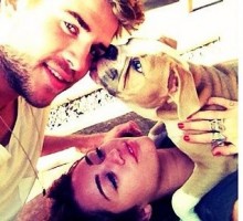 Miley Cyrus and Liam Hemsworth Get Cuddly With Dog Ziggy