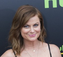 Celebrity Break-Up: Amy Poehler and Nick Kroll Call It Quits