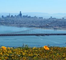 Travel Tips: Must-Taste Group Food Crawl Stops in San Francisco